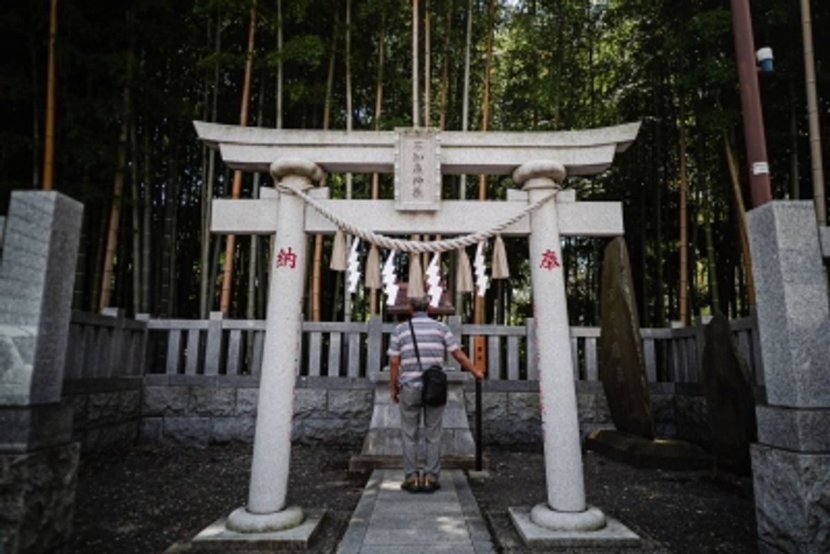 東京近郊の千葉県市川市に残る「禁足の竹林」– 数世紀にわたる謎