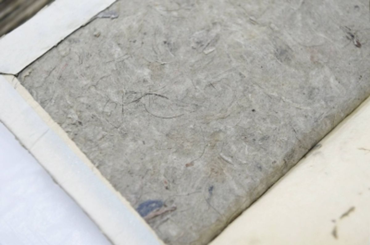 江戸時代と明治時代の食事が現代よりもミネラル豊富だった可能性、研究が示唆