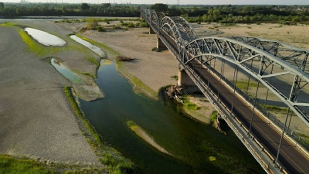 イタリア、ポー川の水位低下が農業に作物転換を迫る
