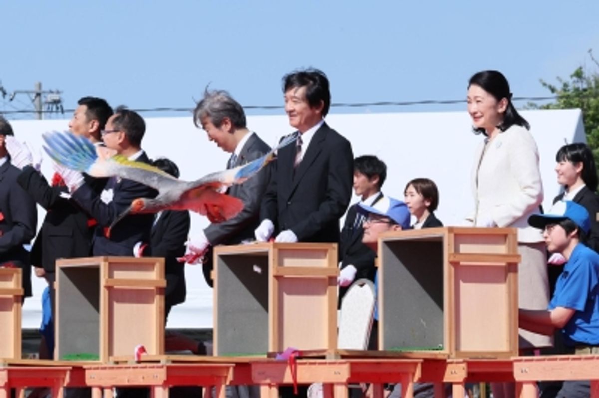 日本のトキ、長年の取り組みを経て本州で個体数増加