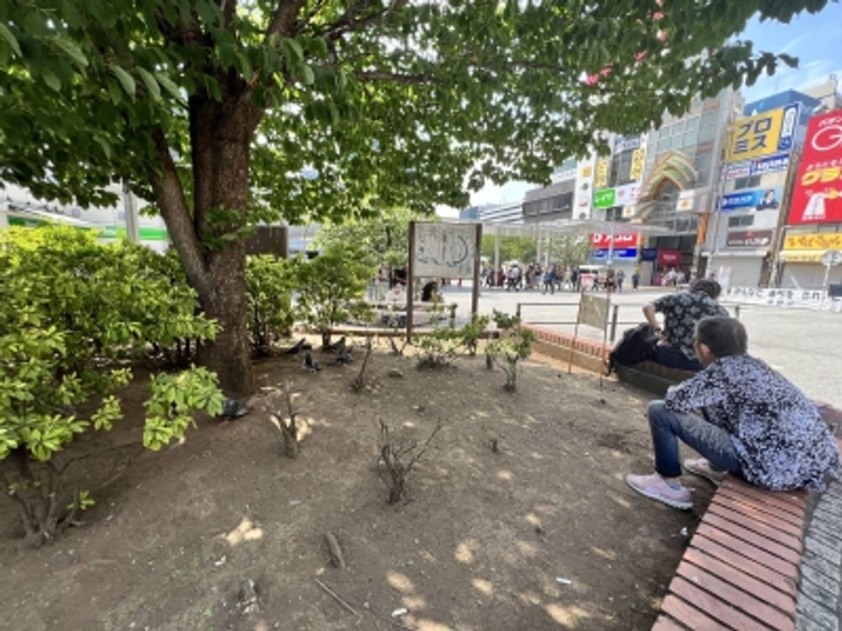 日本の都市における樹木被覆率の低下：気候変動への影響と対策