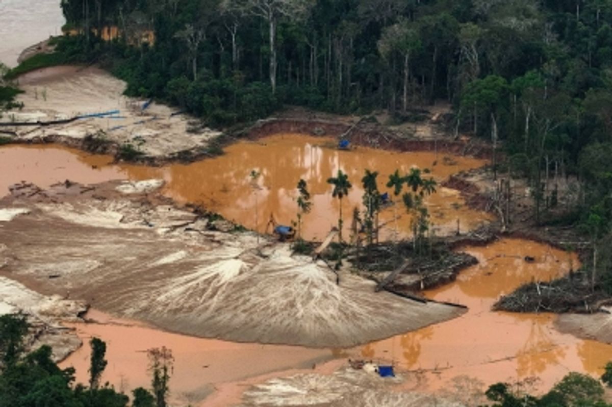 ペルー、違法金採掘との戦いで苦戦 アマゾン熱帯雨林で再発続く