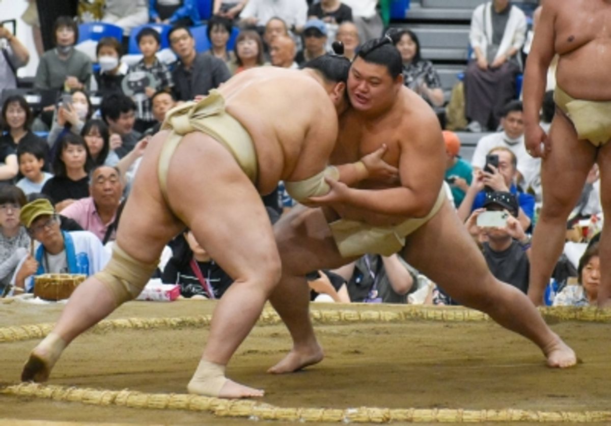 相撲の人気が急上昇、スターではなくインバウンド観光が主因