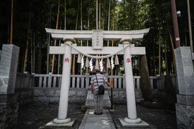 東京近郊の千葉県市川市に残る「禁足の竹林」– 数世紀にわたる謎